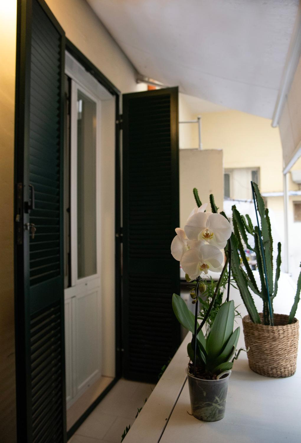 House Domusella Apartment Rom